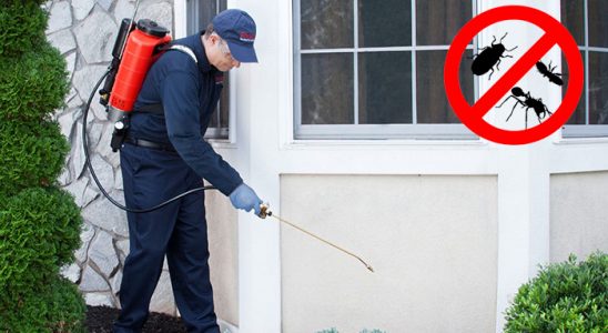 Dedebaşı Dezenfeksiyon böcek ilaçlama ve haşere kontrolü — ilaclama-tr.com